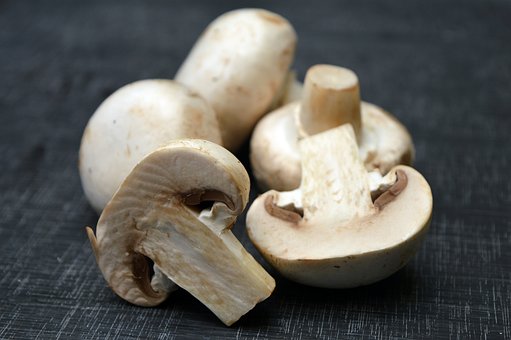 best mushroom supplement brand